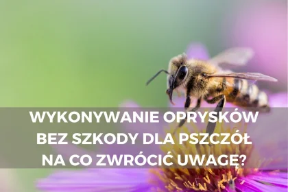 pszczoa