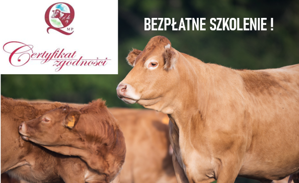 Szkolenie-krowy