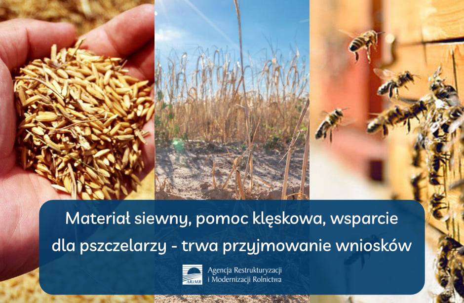 Materia-siewny-pomoc-klskowa-wsparcie-dla-pszczelarzy---trwa-przyjmowanie-wnioskw