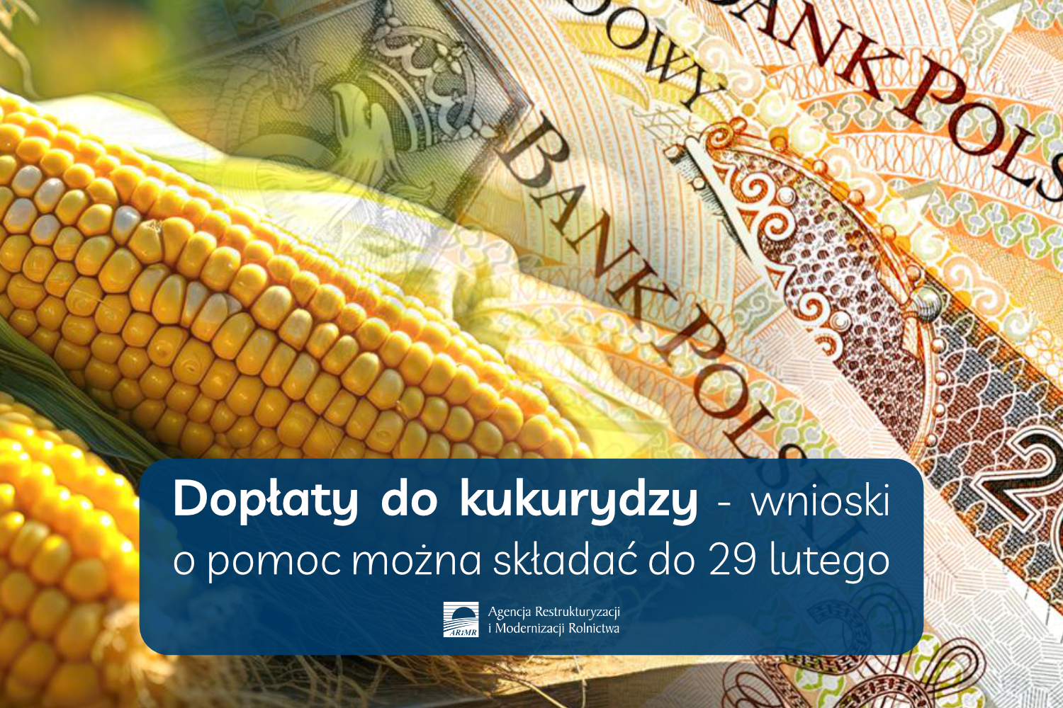 Dopaty-do-kukurydzy