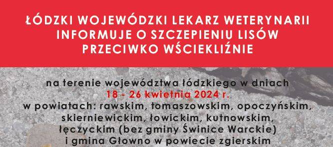 Szczepienie lisów wolno żyjących