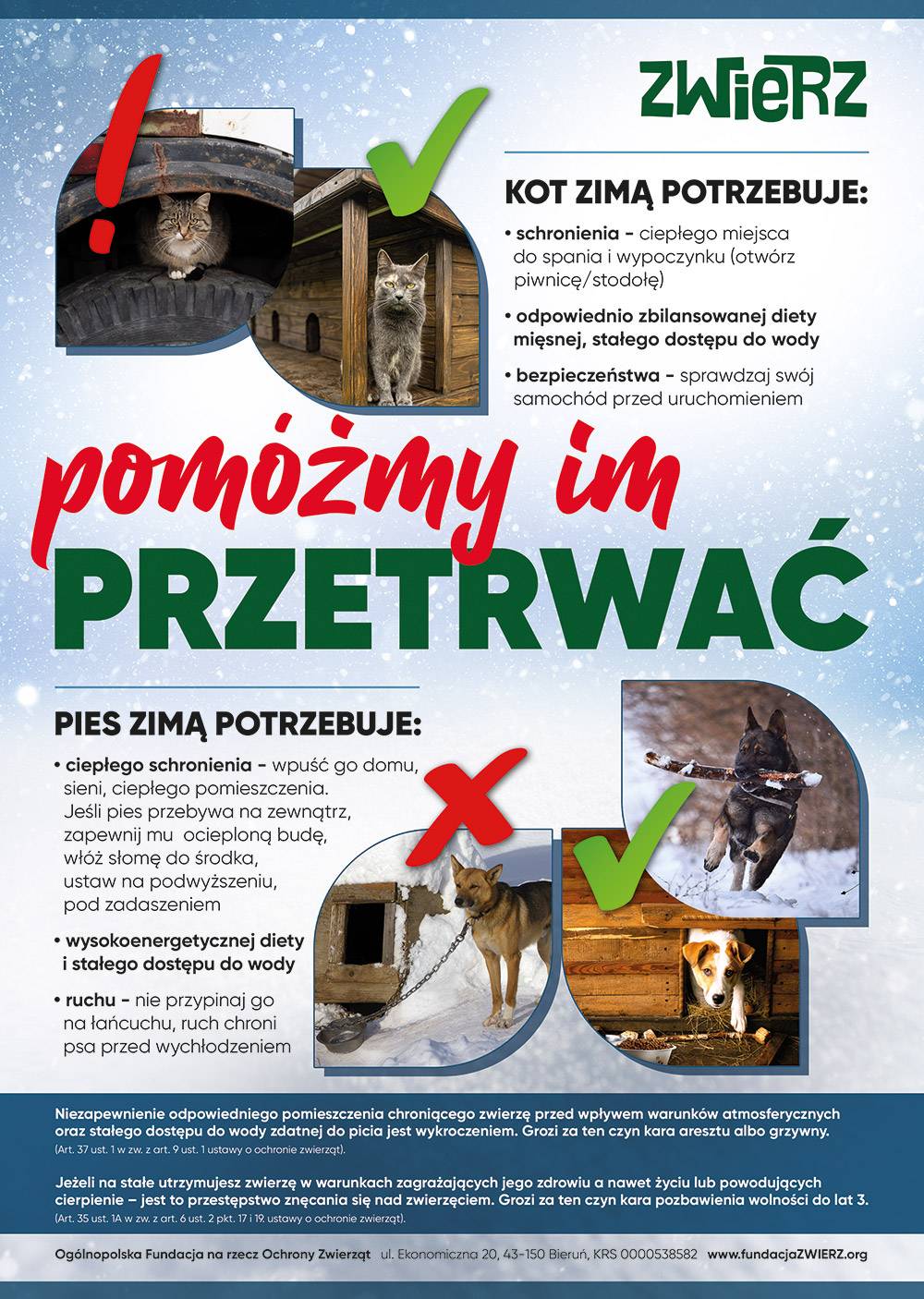 Nasze zwierzęta zimą