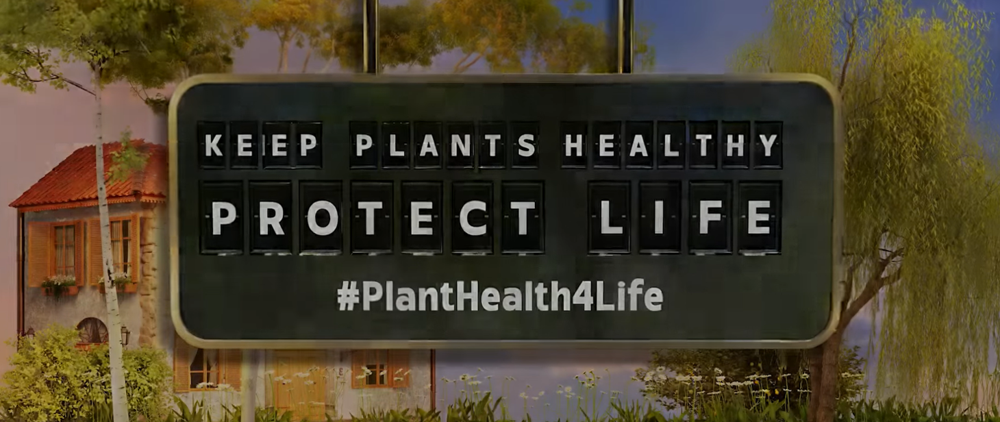 Kampania #PlantHealth4Life