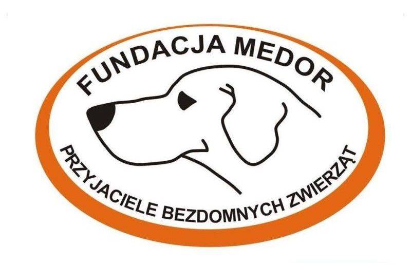logo-Medor